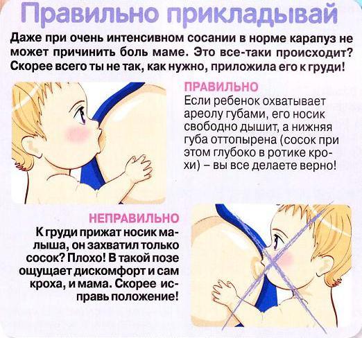 Как сделать чтобы ребенок не глотал воздух во время кормления Как сделать чтобы ребенок не глотал воздух во время кормления